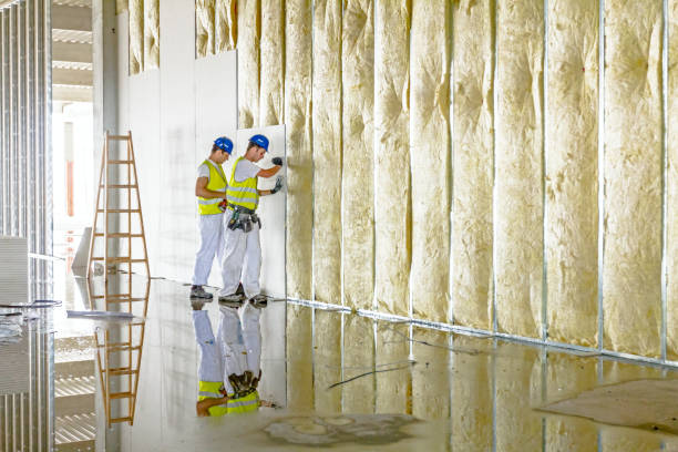 Best Fiberglass Insulation in Lackland Af, TX